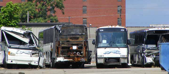 Greyhound MCI coaches at Louisville